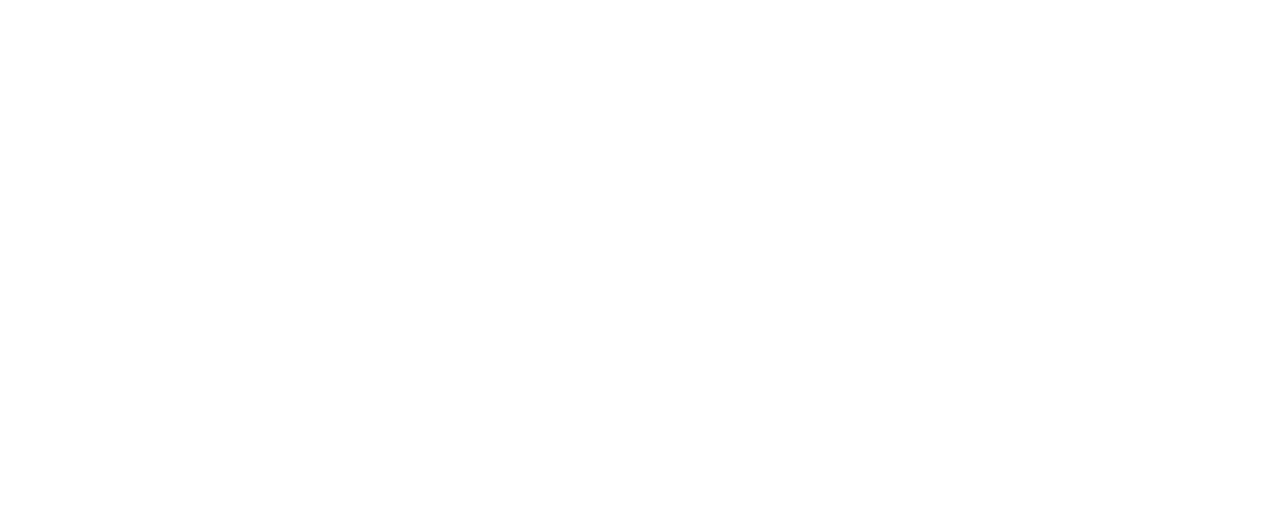 NeoMind Technical Solutions Logo